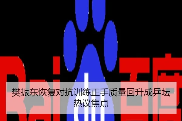 樊振东恢复对抗训练正手质量回升成乒坛热议焦点
