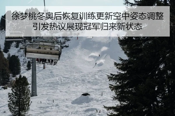 徐梦桃冬奥后恢复训练更新空中姿态调整引发热议展现冠军归来新状态
